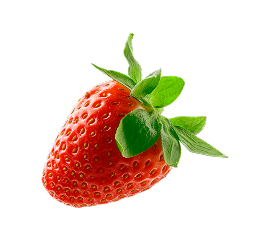 Wild Strawberry